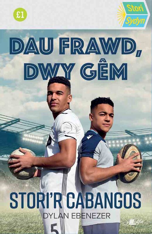 A picture of 'Dau Frawd, Dwy Gêm'